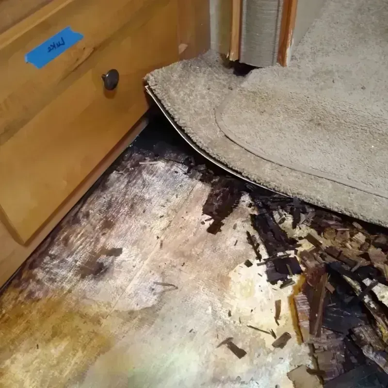 Best Wood Floor Water Damage Service in Highland, UT